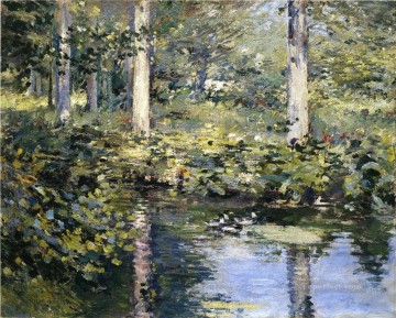 Hausgeflügel Werke - The Duck Pond Impressionismus Landschaft Theodore Robinson